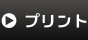 �v�����g
